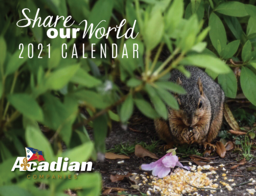 Share Our World Calendar