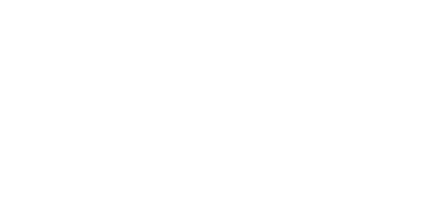 Executive Aircraft Charter Services
